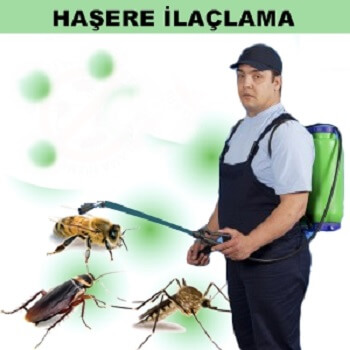Kaş Böcek İlaçlama